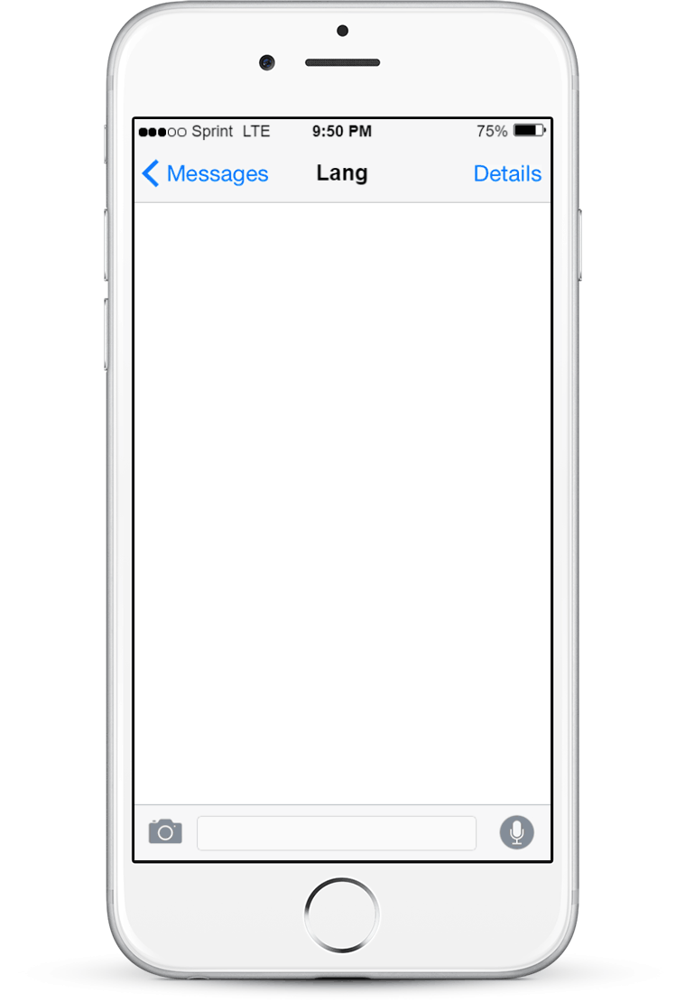 gif of lang sending initial messages after an end user texts hi. The chatbot sends the initial language teaching messages